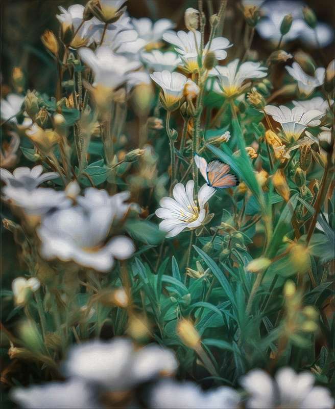 �������� ������� ����� ������  �� PhotoGeek.ru #����� #����� ��������������