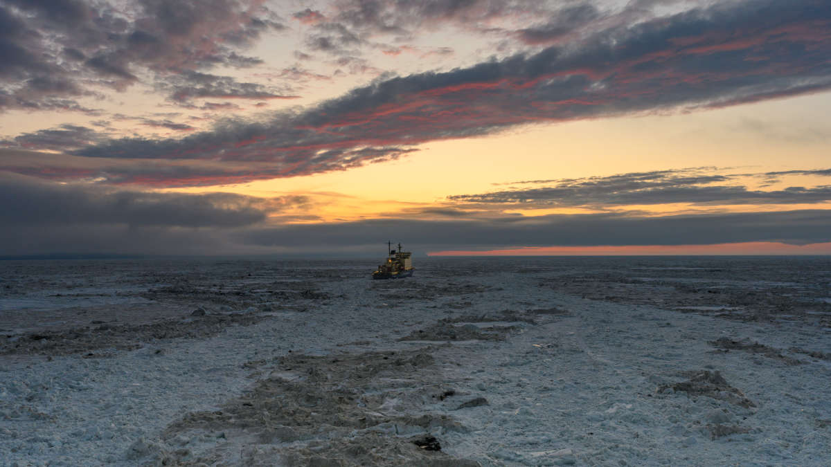 � ������ ����� Igor Pridannikov �� PhotoGeek.ru #��������