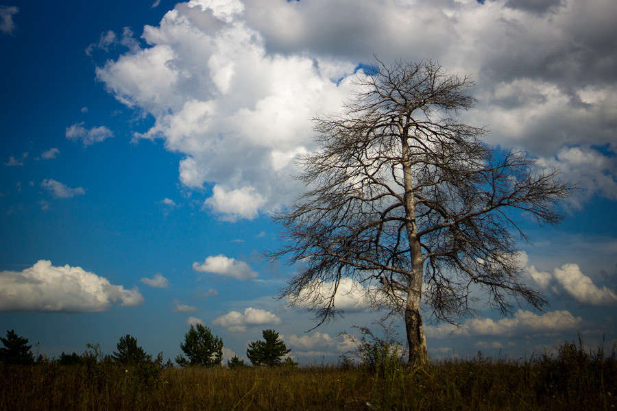 ����������� ����� ����� ��������� �� PhotoGeek.ru #������ ��� �������