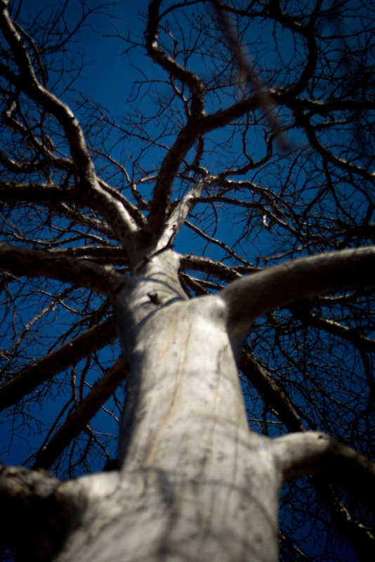 ����� ����� ����� ��������� �� PhotoGeek.ru #������ ��� �������