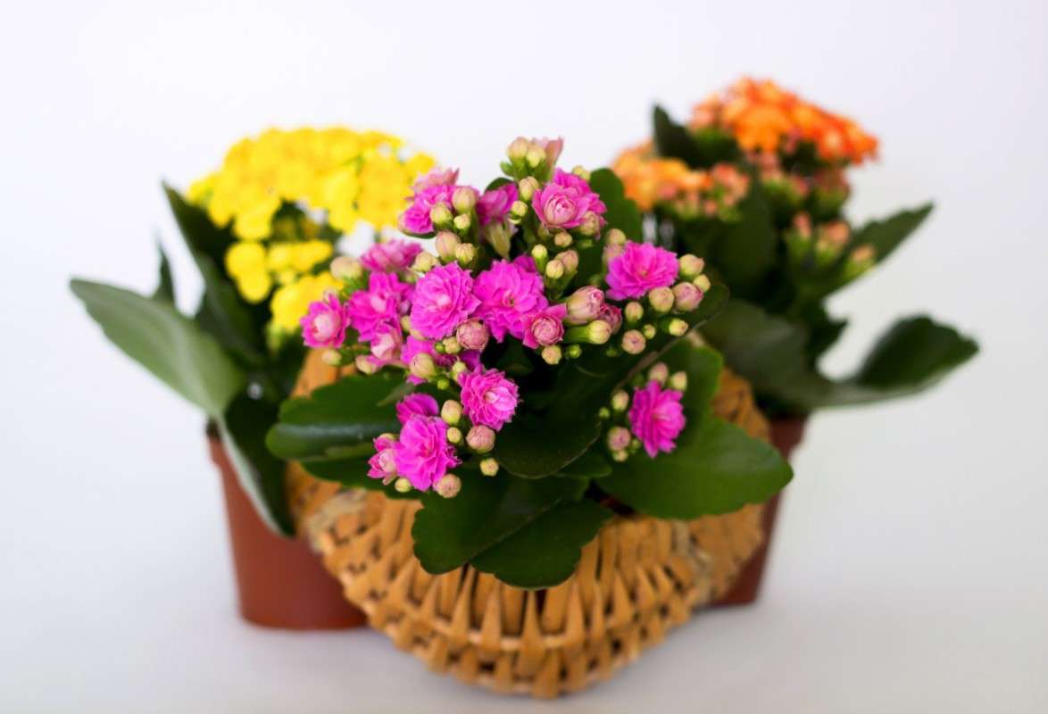 ���� ���������...������� ������ �������� ����� ����� ��������� �� PhotoGeek.ru #���������