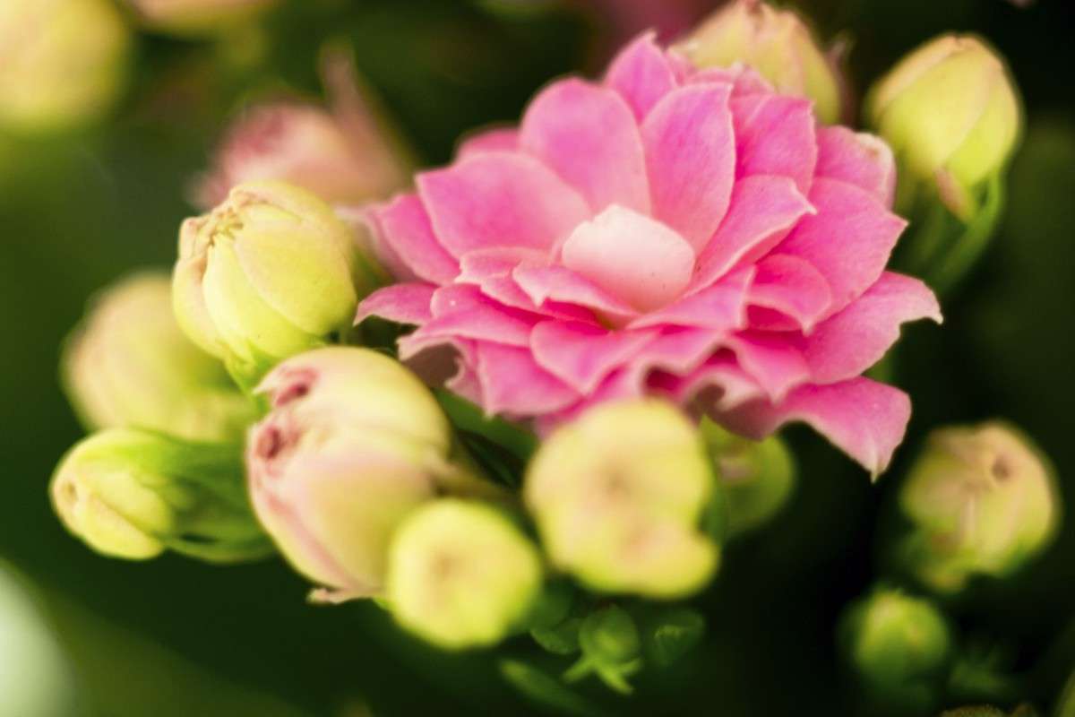 ������ ����� ����� ��������� �� PhotoGeek.ru #�����