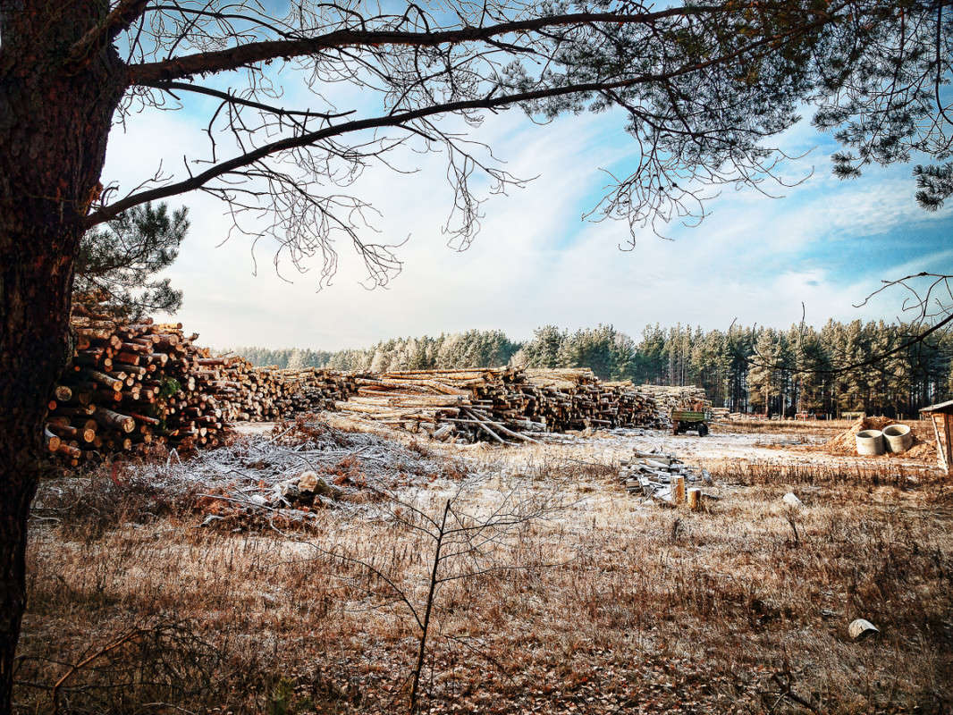 ��������� ����� ������ �������� �� PhotoGeek.ru #������ ��� ������� #����� �������������� #��������� #������������� #������