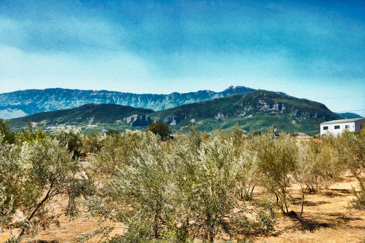 ��������� ���� ����� ������ �������� �� PhotoGeek.ru #������ ��� ������� #����� �������������� #��������� #��������