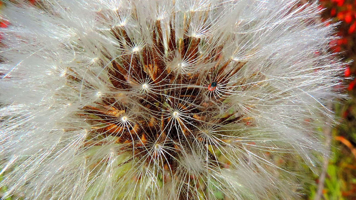 ������ ����� Ron Levi �� PhotoGeek.ru #�����