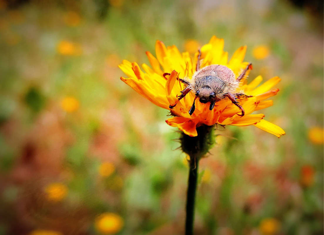 ������ ����� Ron Levi �� PhotoGeek.ru #�����