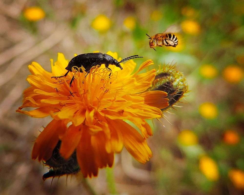 ���� ����� ����� Ron Levi �� PhotoGeek.ru #�����