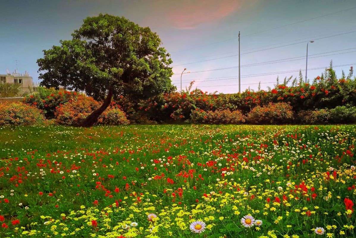 ���� � ������� ������ ����� Ron Levi �� PhotoGeek.ru #������ ��� �������