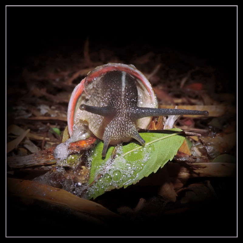 8.01.2016 ����� Ron Levi �� PhotoGeek.ru #�����