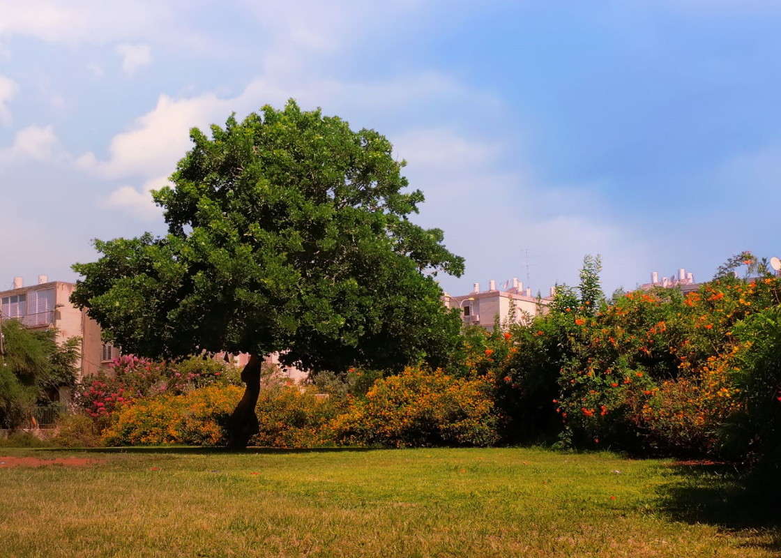 ����� ����� Ron Levi �� PhotoGeek.ru #�����