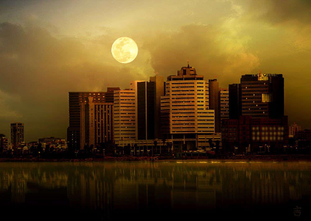 ���� �� �������� ����� Ron Levi �� PhotoGeek.ru #����� #����������� #������ ����