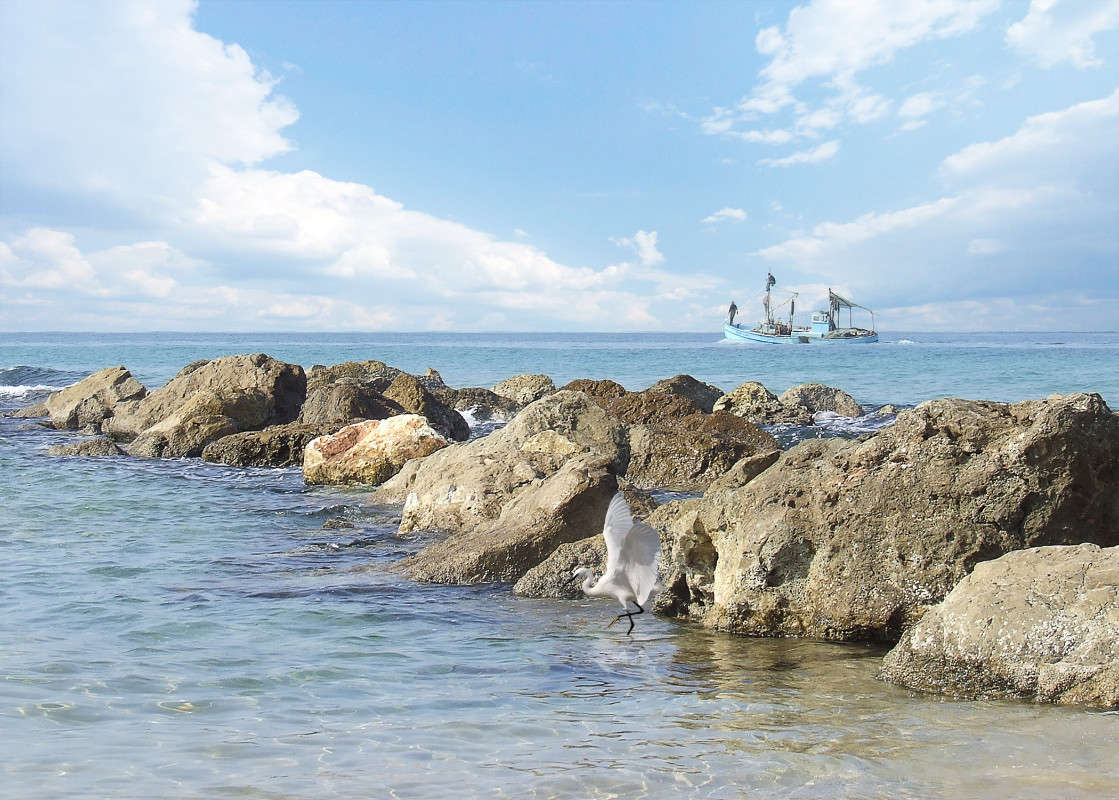 ����� ����� Ron Levi �� PhotoGeek.ru #������ ��� �������