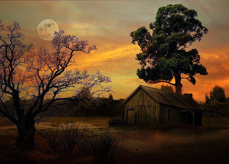 ���� �� �������� ����� Ron Levi �� PhotoGeek.ru #������ ��� ������� #���-�����������