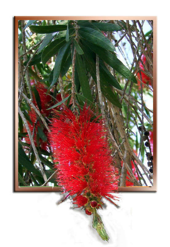 ��� �����-3 ����� Ron Levi �� PhotoGeek.ru #����� ��������������