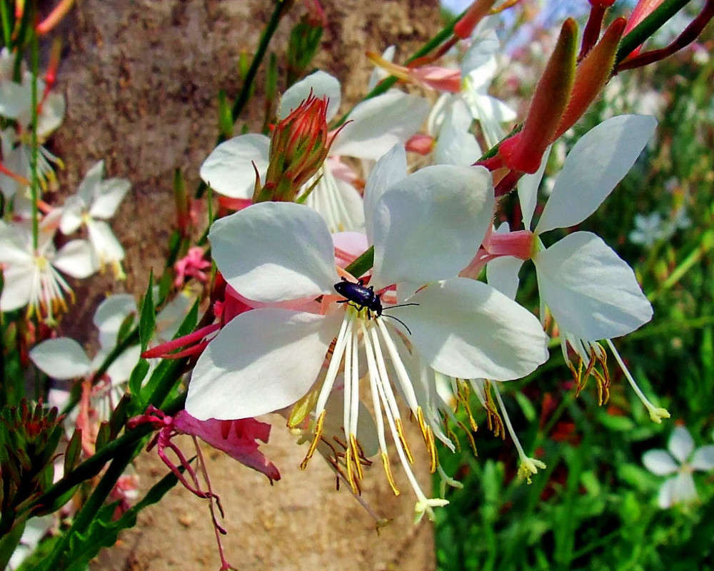 ��� �����-2 ����� Ron Levi �� PhotoGeek.ru #����� ��������������