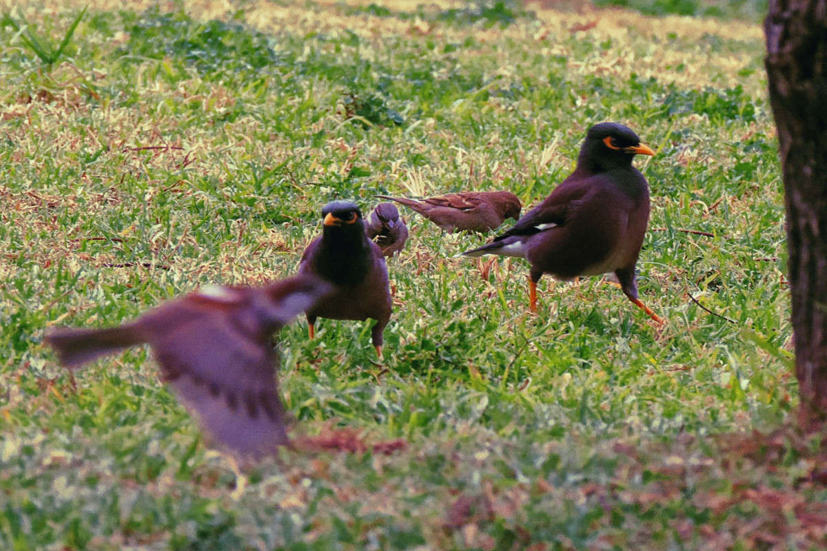 � ����� ����� ����� Ron Levi �� PhotoGeek.ru #������ ��� �������