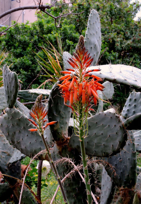 ������ ���� ����� Ron Levi �� PhotoGeek.ru #����� ��������������