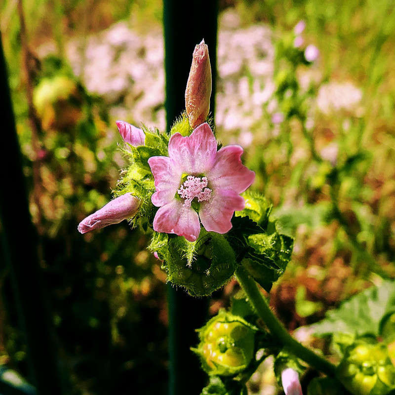 � ����� �������� ����� Ron Levi �� PhotoGeek.ru #����� ��������������