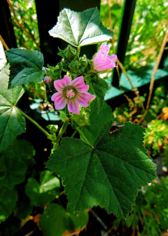 ���� ����� Ron Levi �� PhotoGeek.ru #����� ��������������