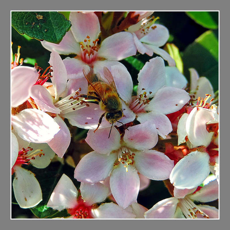 1-008 ����� Ron Levi �� PhotoGeek.ru #�����