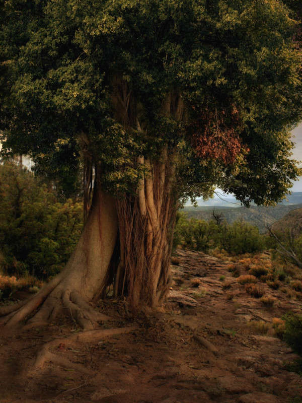 ����������� ����� ����� Ron Levi �� PhotoGeek.ru #������ ��� �������