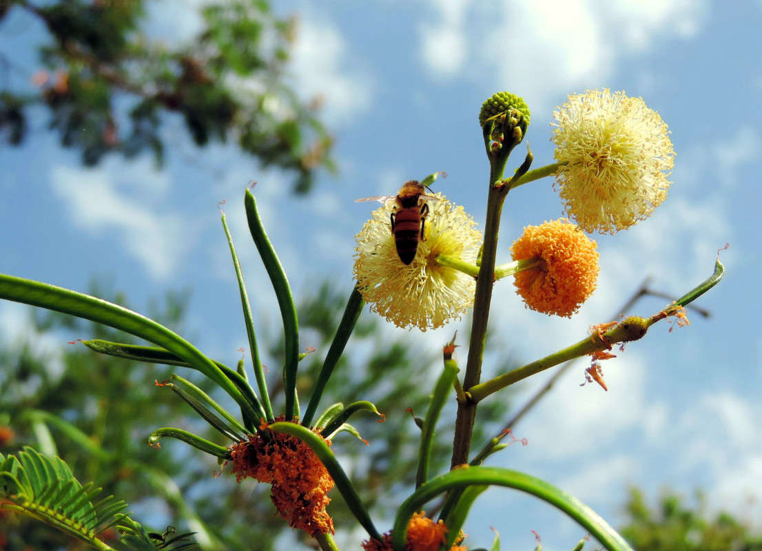 1-016 ����� Ron Levi �� PhotoGeek.ru #����� #����� ��������������