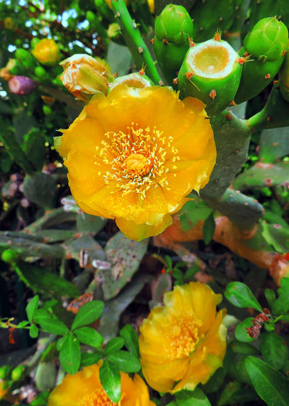 ������ ����� Ron Levi �� PhotoGeek.ru #����� ��������������