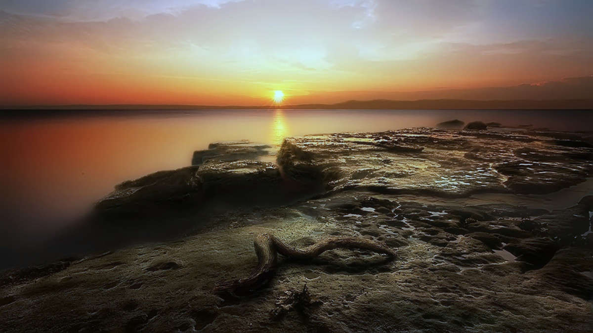 ������ ���� ����� Ron Levi �� PhotoGeek.ru #������ ��� �������