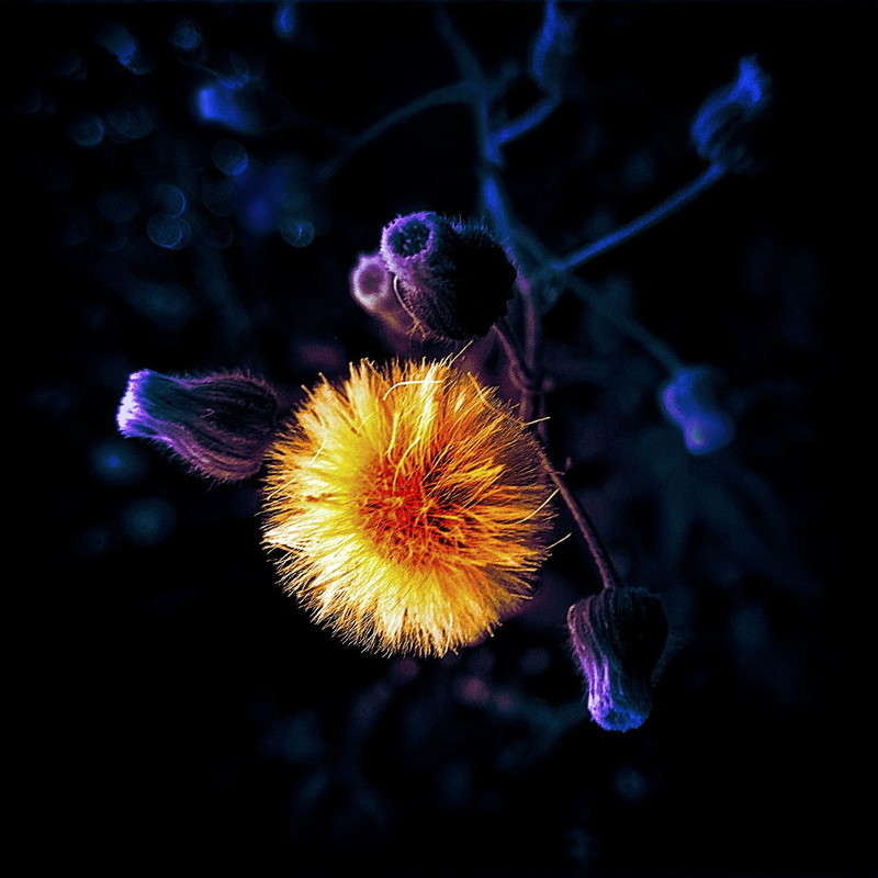 004-6 ����� Ron Levi �� PhotoGeek.ru #�����