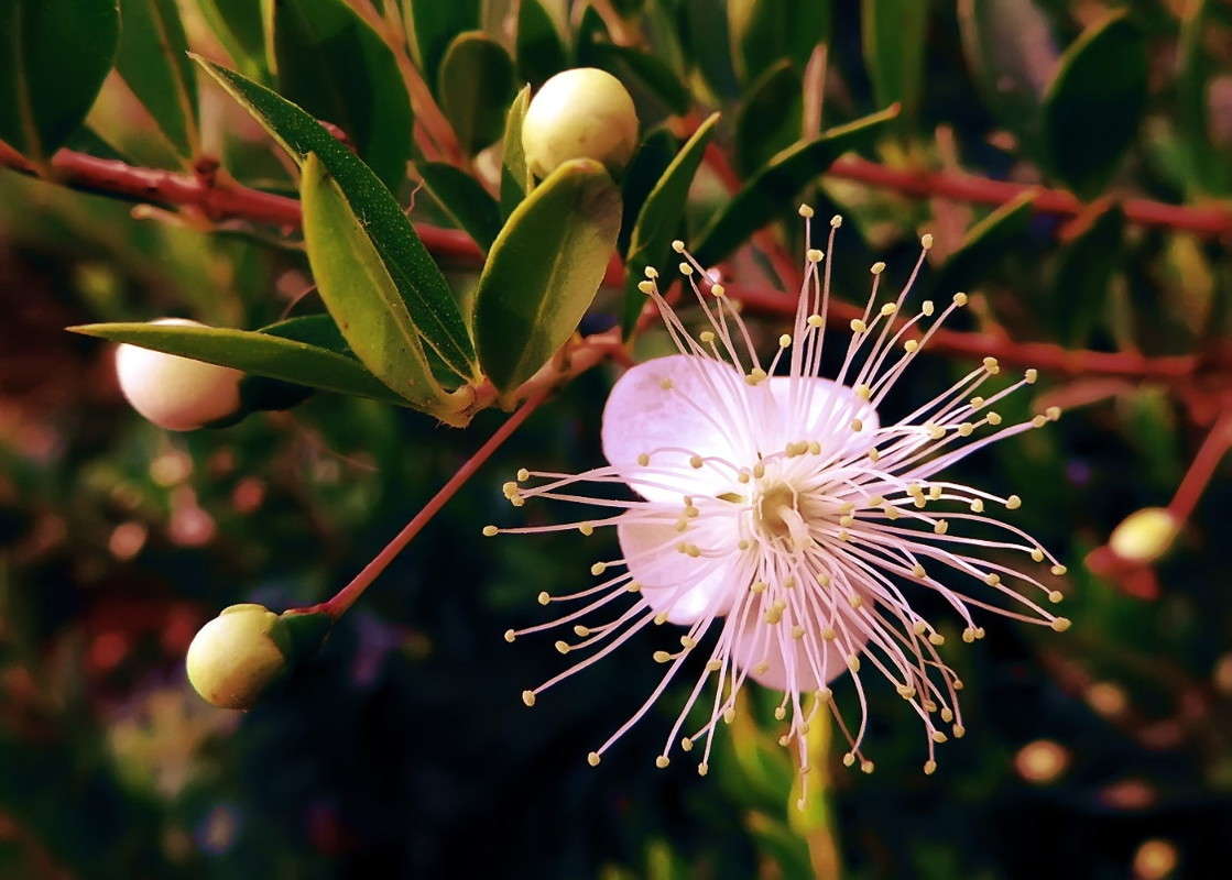 G-2 ����� Ron Levi �� PhotoGeek.ru #�����