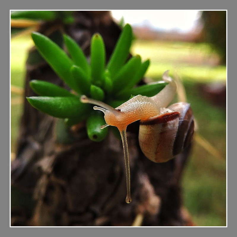 �-07 ����� Ron Levi �� PhotoGeek.ru #�����