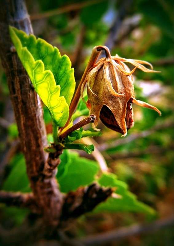 1-049 ����� Ron Levi �� PhotoGeek.ru #����� ��������������