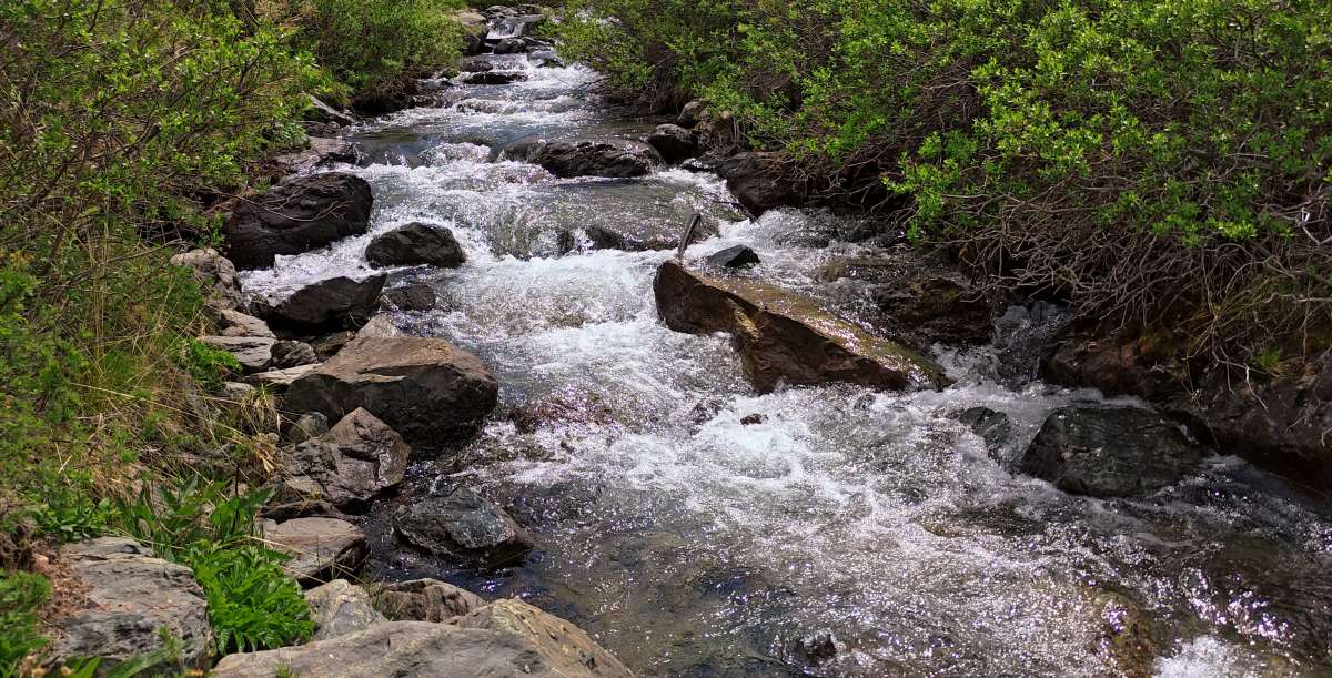 �� �������� ����� ROCKNROLLA  �� PhotoGeek.ru #������ ��� �������