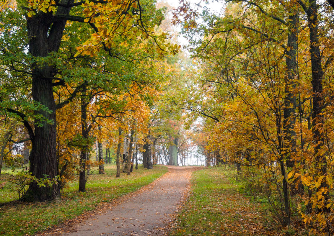 Осень В Краматорске Фото Красивые