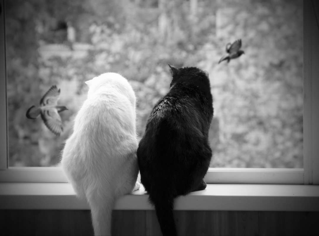 ... ����� �������� ������ �� PhotoGeek.ru #�������� ��� #�������� ����������