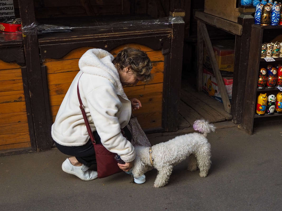 �������� ����� ������ ��������� �� PhotoGeek.ru #��������