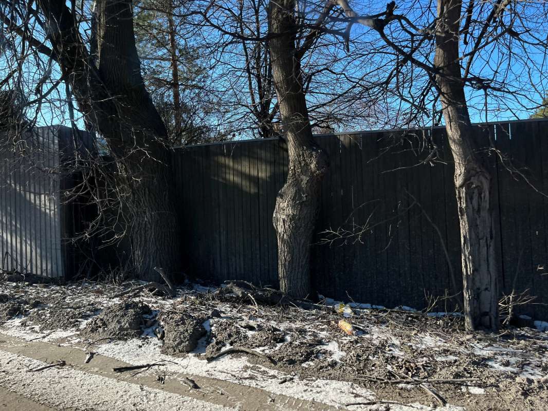 �������� ����������� ����� ������ ��������� �� PhotoGeek.ru #�������� ���������� #��������