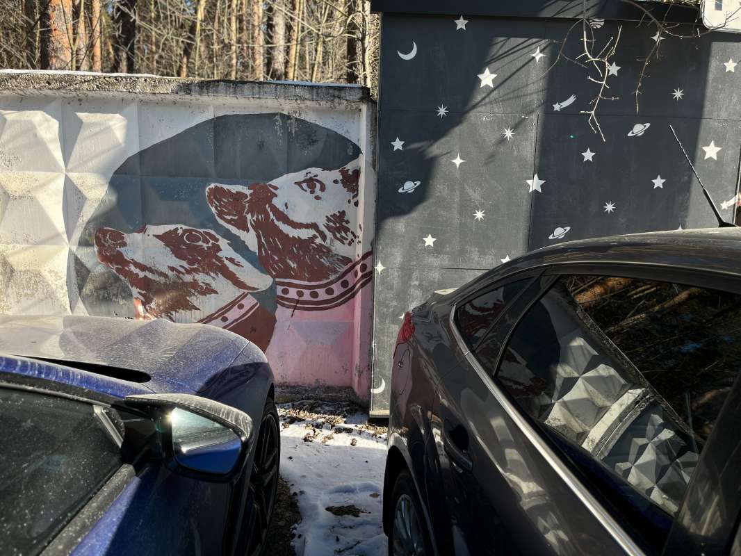 �������� ����������� ����� ������ ��������� �� PhotoGeek.ru #�������� ���������� #��������