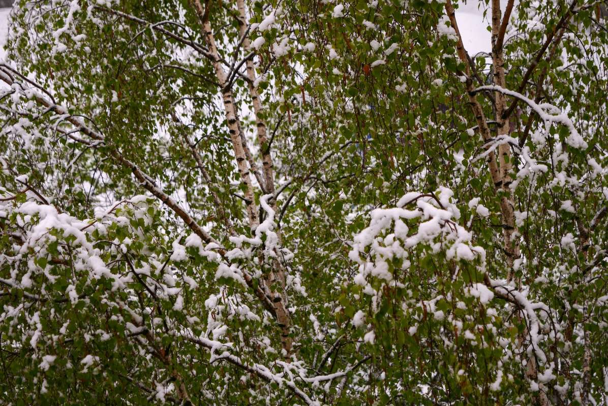 ����� ����� ������ ��������� �� PhotoGeek.ru #������ ��� ������� #��������