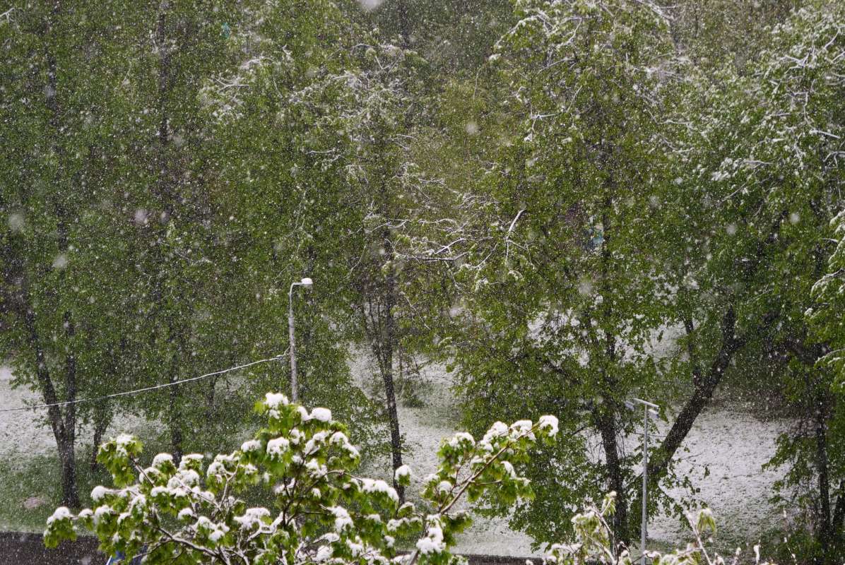 ��� �� ���� ����� ������ ��������� �� PhotoGeek.ru #������ ��� ������� #��������