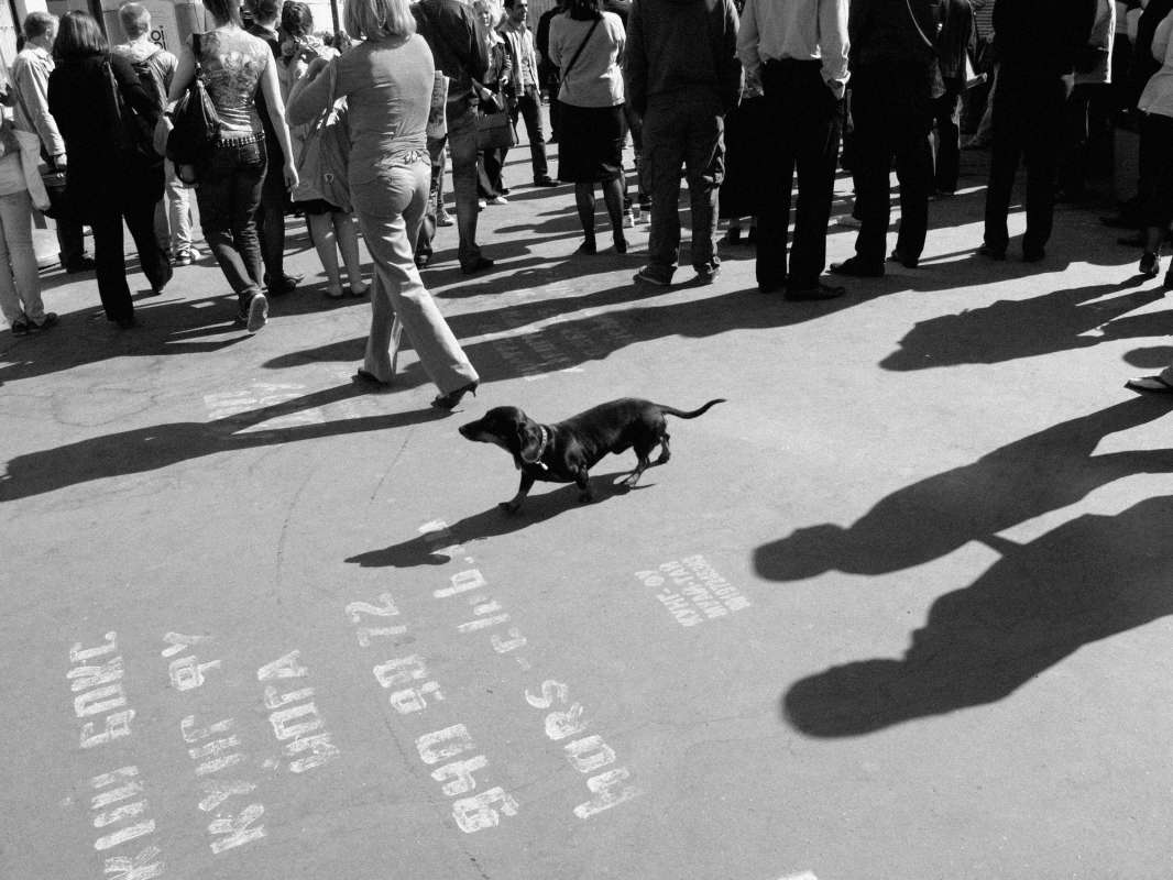 *** ����� ������ ��������� �� PhotoGeek.ru #�������� ����������