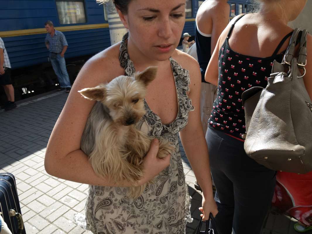 *** ����� ������ ��������� �� PhotoGeek.ru #�������� ����������