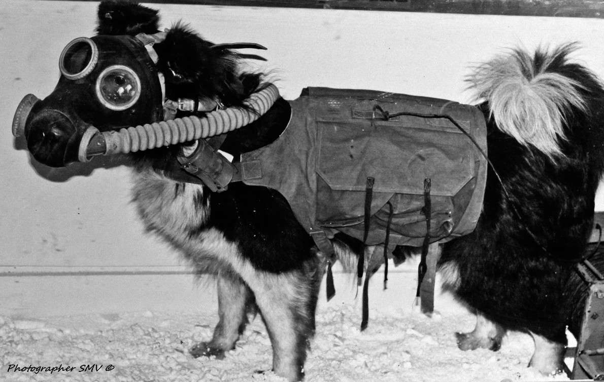 ��� ���� � ���� ����� 2033 ����� ������  �� PhotoGeek.ru #��� ����