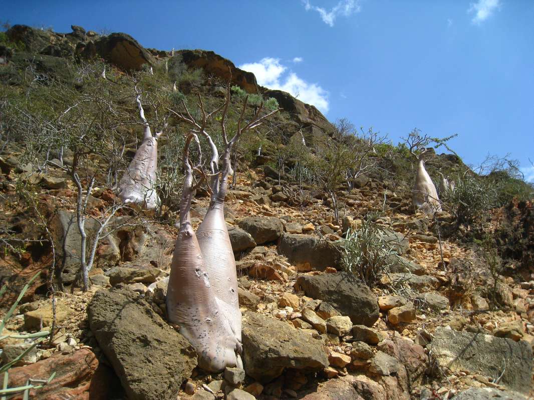     .  unix   PhotoGeek.ru # #  