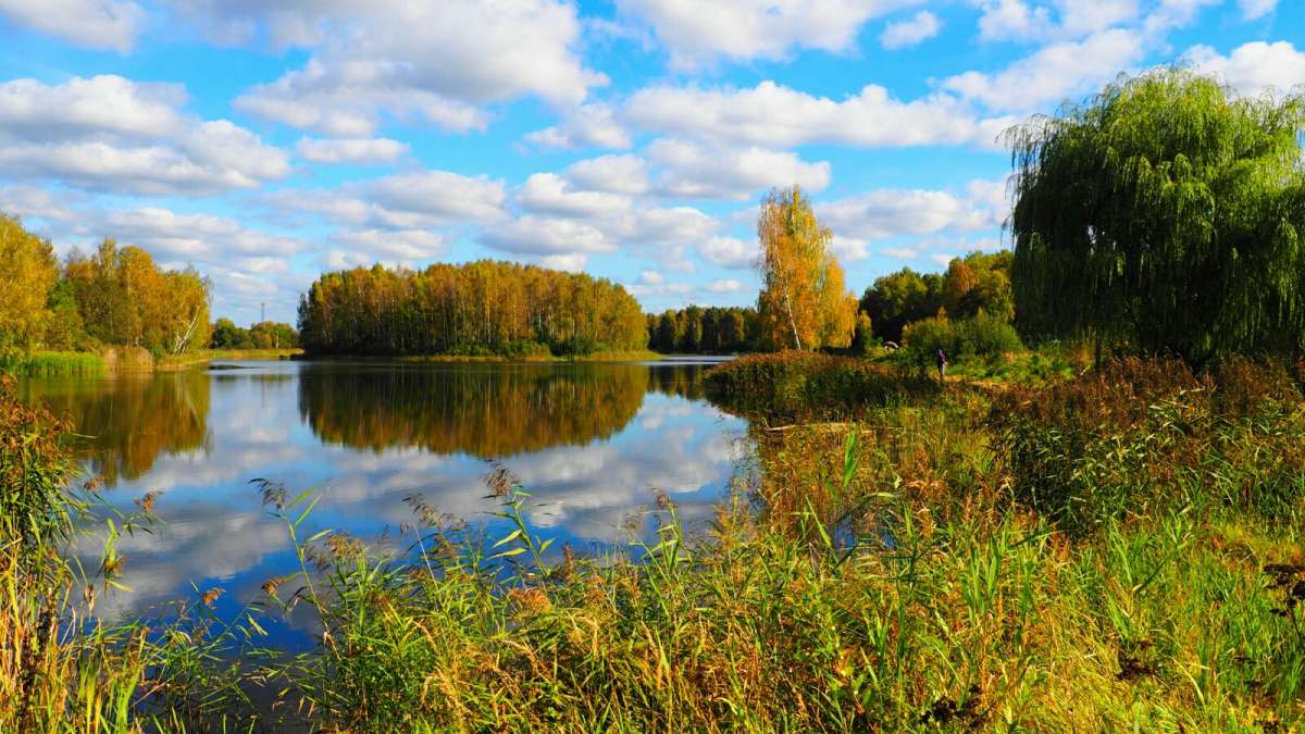 ����� ������ ������������� ������. ����� �������� �������� �� PhotoGeek.ru #������ ��� �������