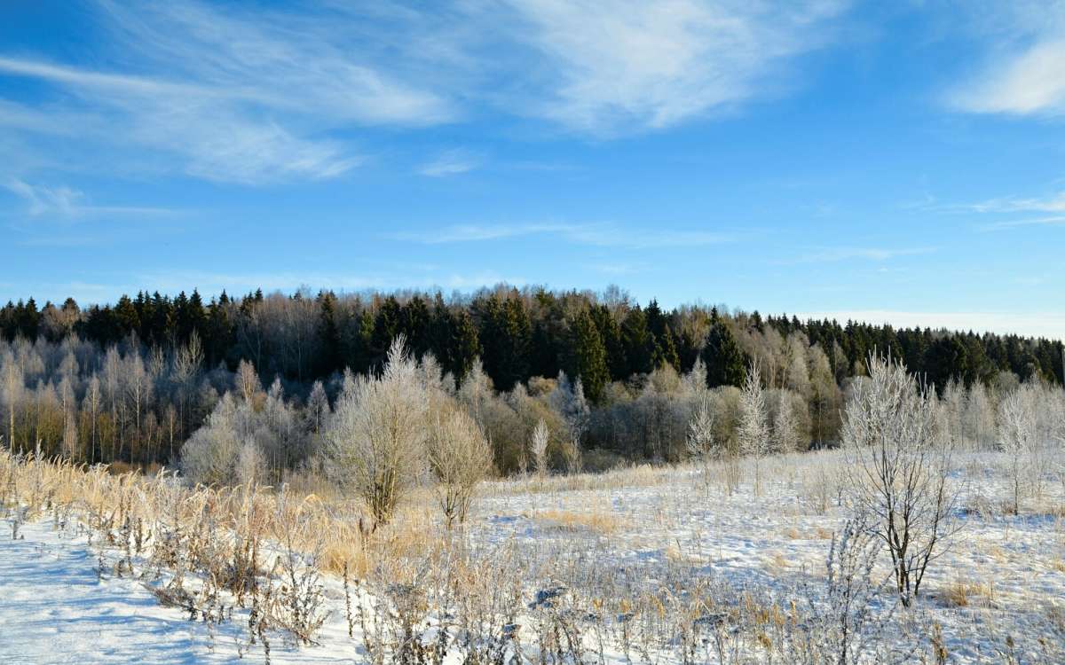 ��� ����. ����� �������� �������� �� PhotoGeek.ru #������ ��� �������