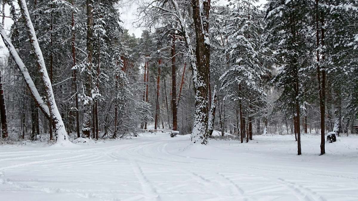 ��� ����. ����� �������� �������� �� PhotoGeek.ru #������ ��� �������