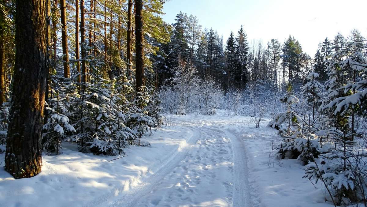 ��� ����. ����� �������� �������� �� PhotoGeek.ru #������ ��� �������