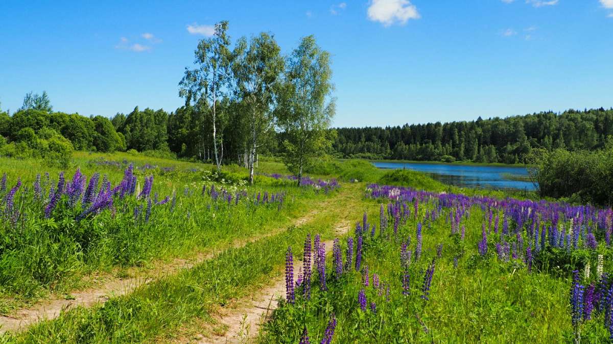 ���������� � ����. ����� �������� �������� �� PhotoGeek.ru #������ ��� �������