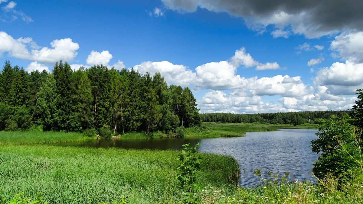 ������� ����������. ����� �������� �������� �� PhotoGeek.ru #������ ��� �������